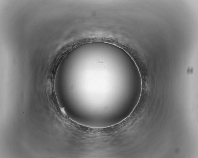 X0000094191493200711021016