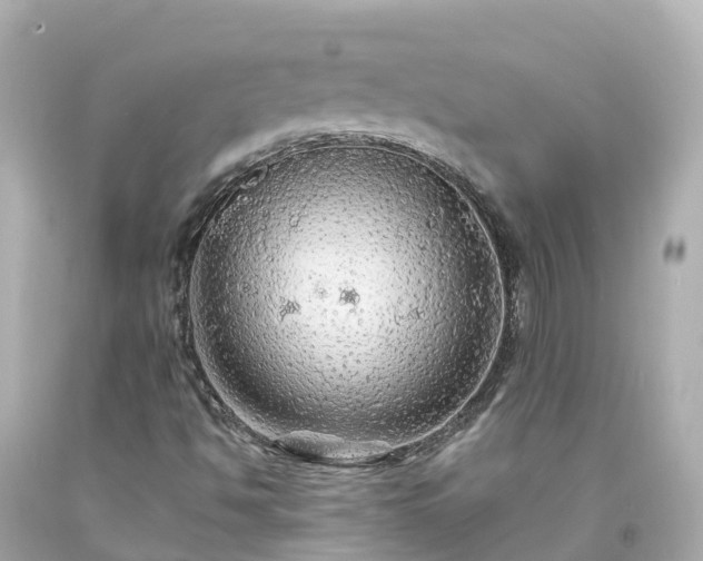 X0000094191494200711021016