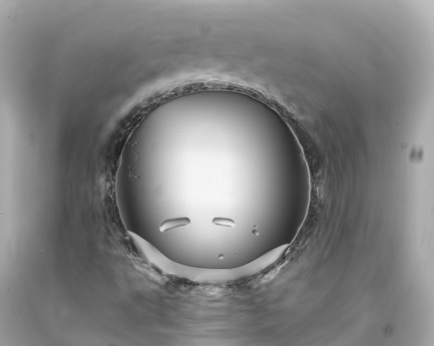 X0000094191495200711021016
