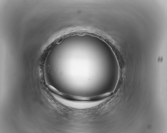 X0000094191496200711021016