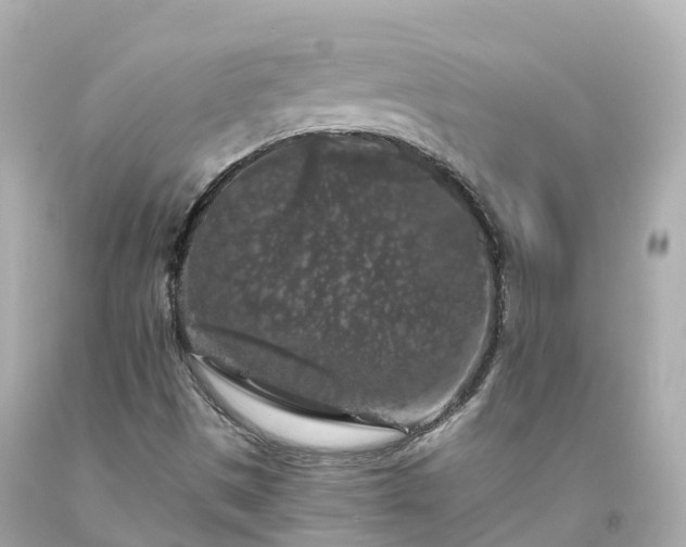 X0000094191497200711021016