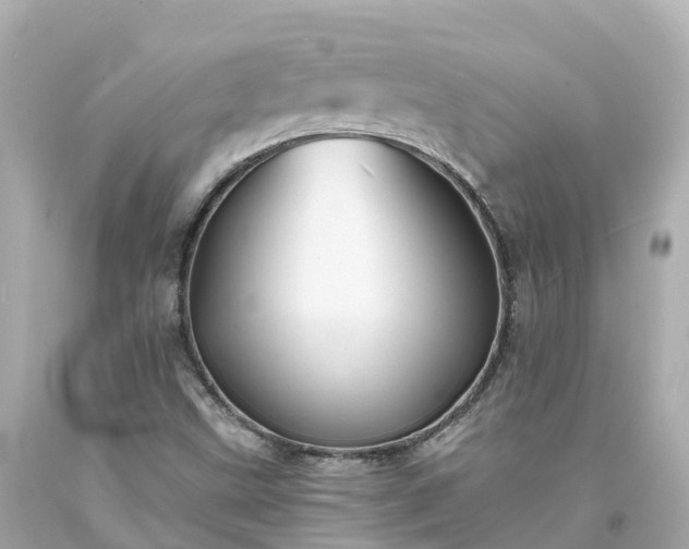 X0000094191499200711021016
