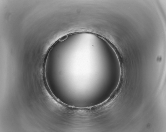 X0000094191500200711021016