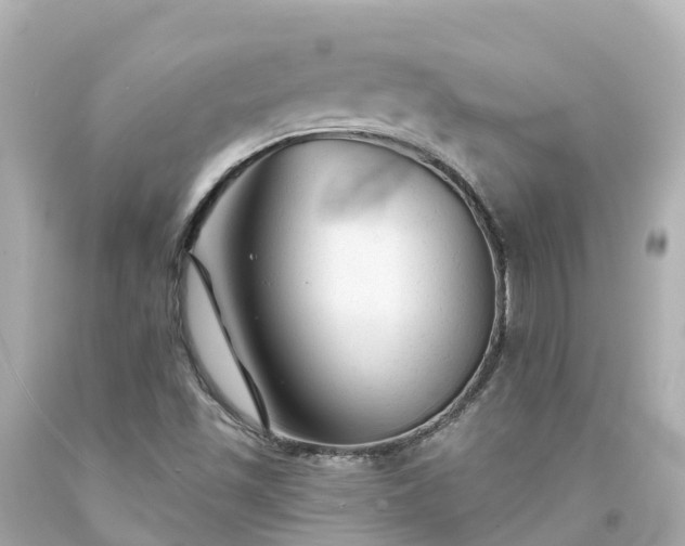 X0000094191501200711021016