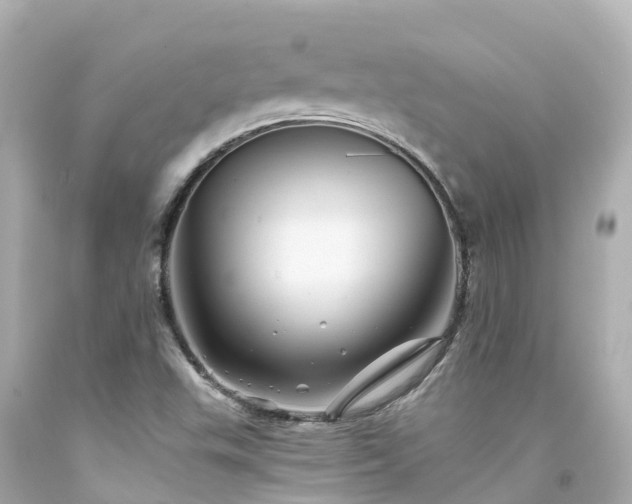X0000094191503200711021016