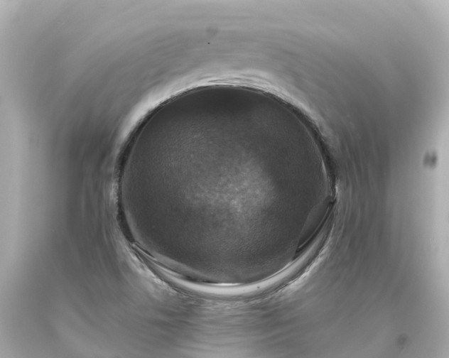 X0000094191506200711021016