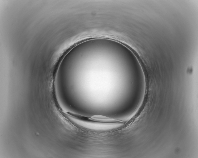 X0000094191507200711021016