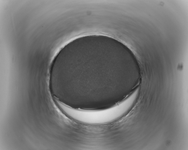 X0000094191508200711021016