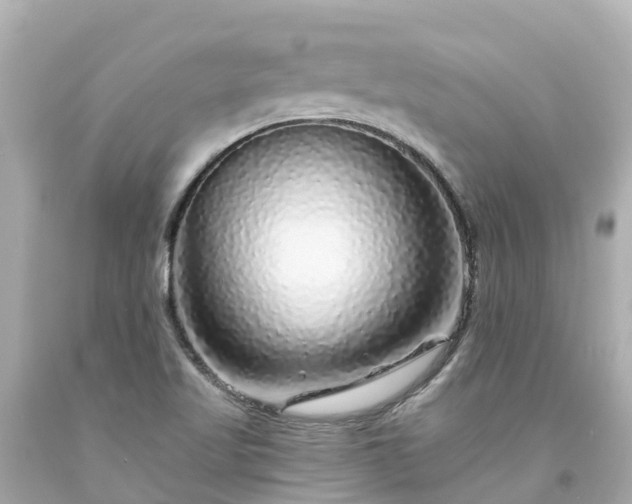 X0000094191509200711021016