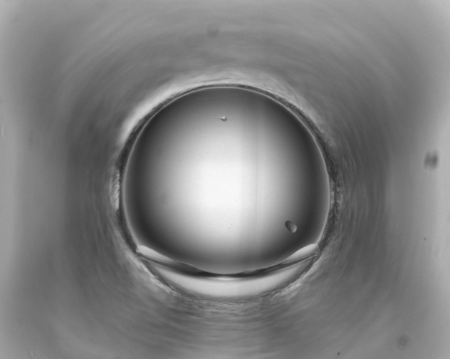 X0000094191510200711021016