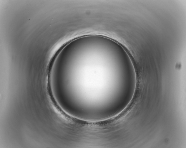 X0000094191511200711021016