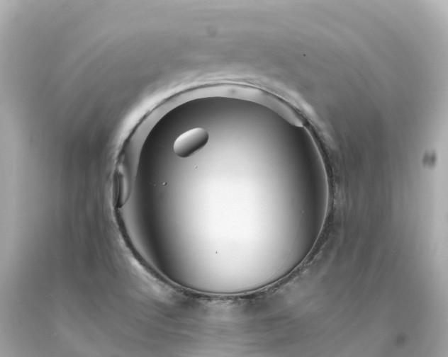 X0000094191512200711021016