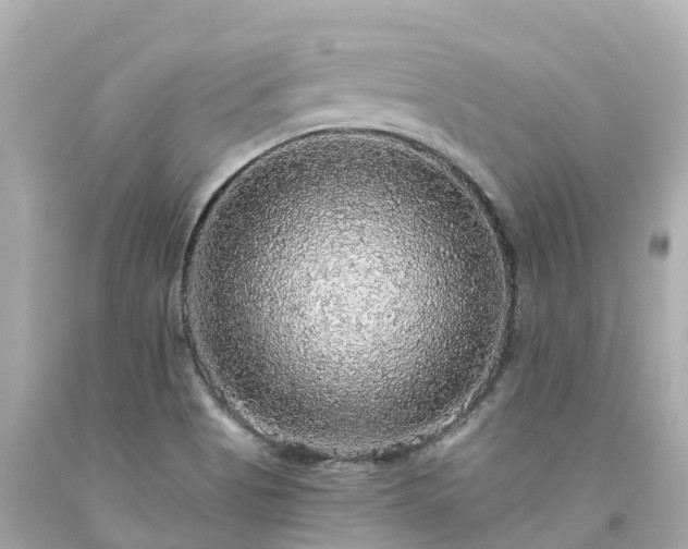 X0000094191513200711021016