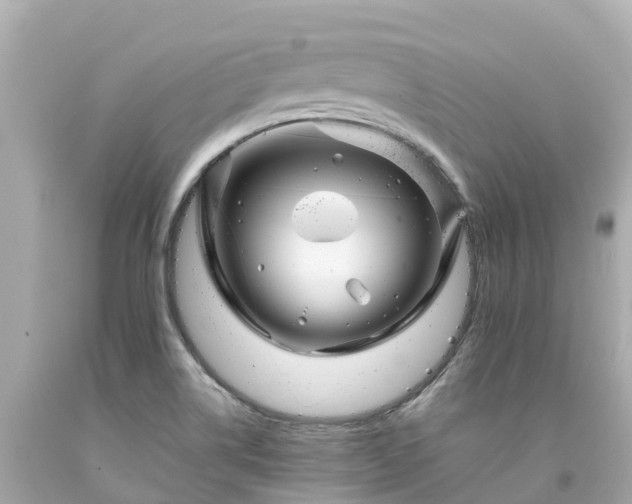 X0000094191514200711021016