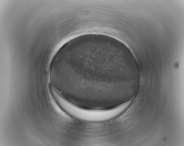 X0000094191515200711021016
