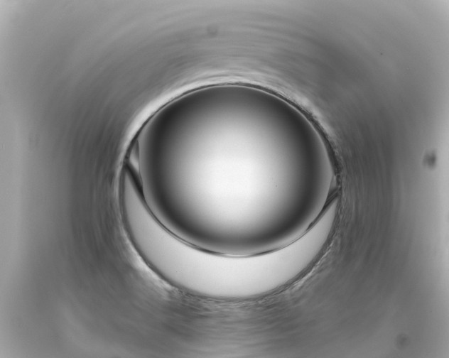 X0000094191516200711021016