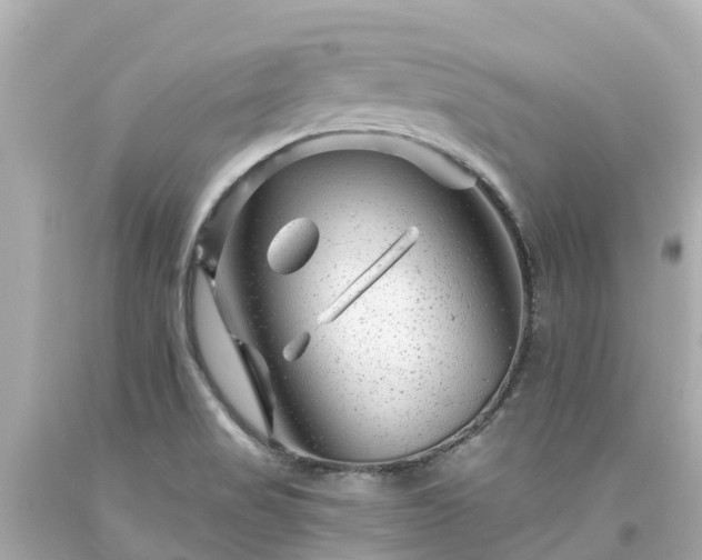 X0000094191517200711021016