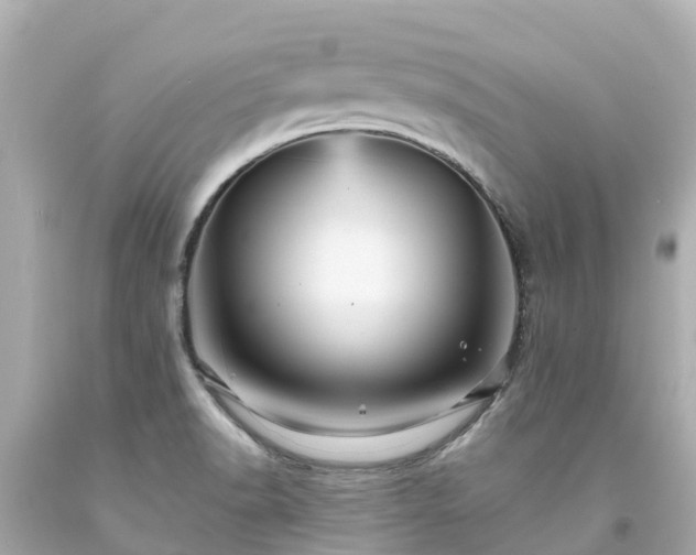X0000094191518200711021016