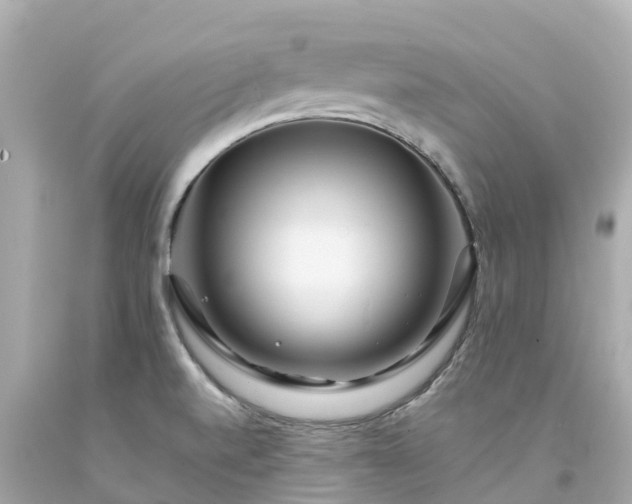 X0000094191520200711021016