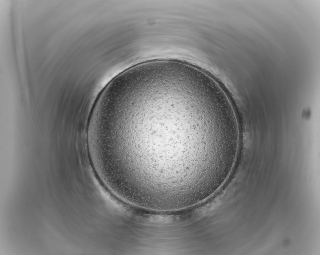 X0000094191521200711021016