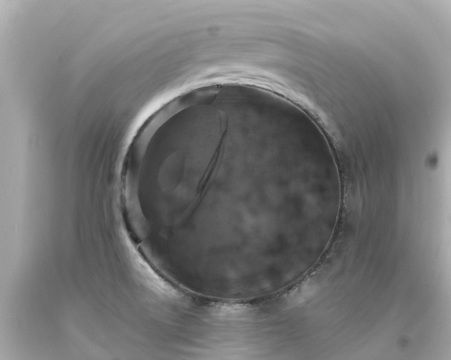 X0000094191522200711021016