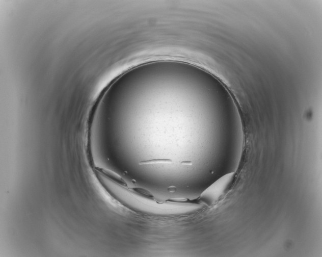 X0000094191523200711021016