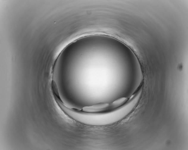 X0000094191524200711021016
