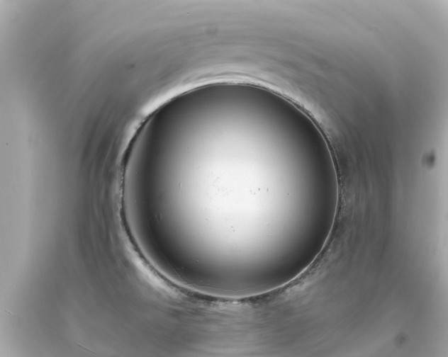 X0000094191526200711021016