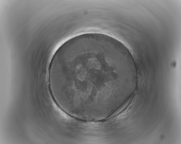 X0000094191527200711021016