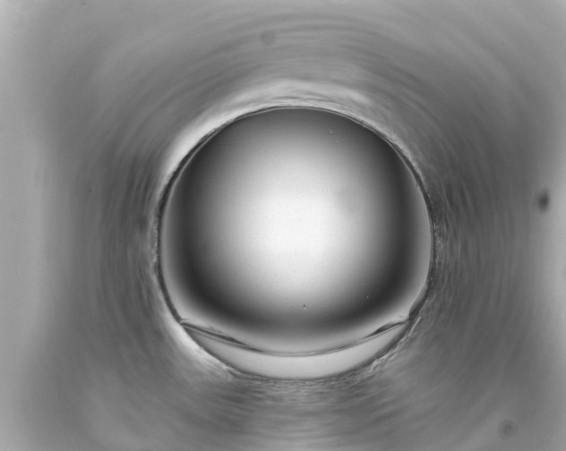 X0000094191531200711021016