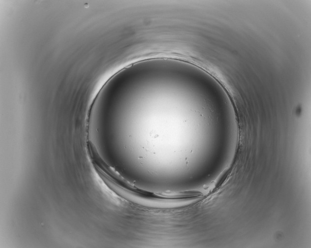 X0000094191532200711021016