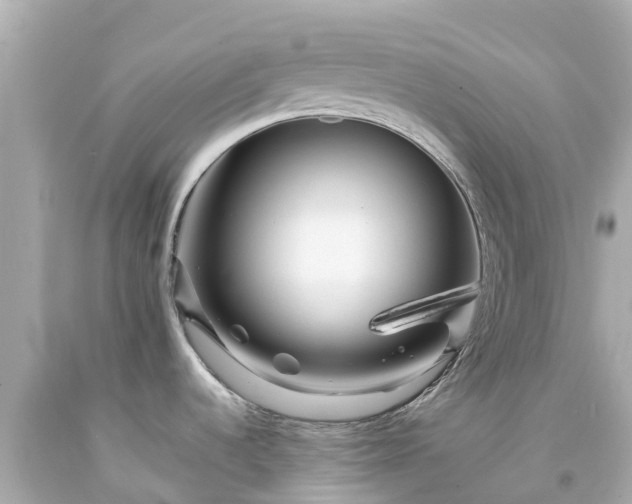 X0000094191536200711021016
