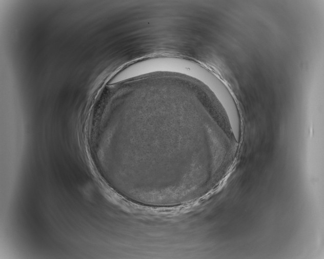 X0000094190001200711091209