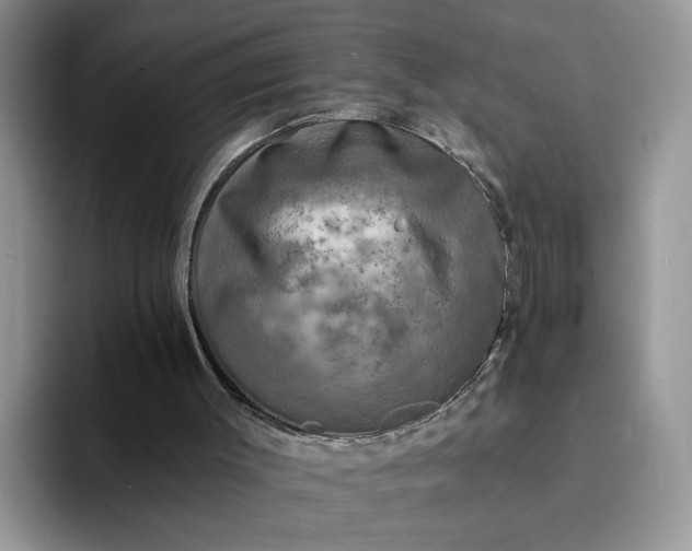 X0000094190003200711091209