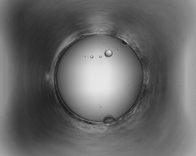 X0000094190004200711091209