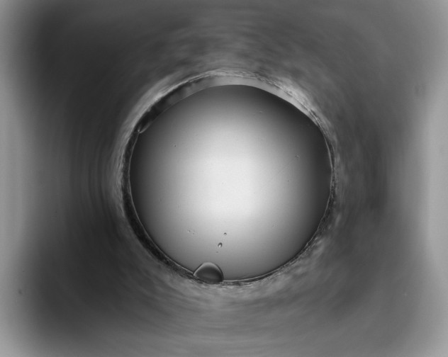 X0000094190007200711091209