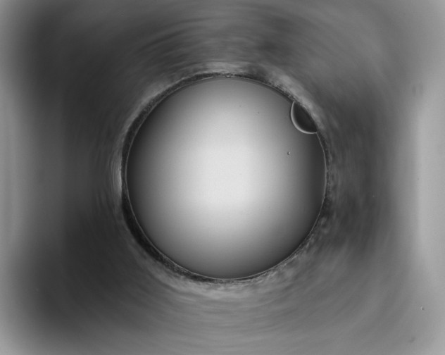 X0000094190011200711091209