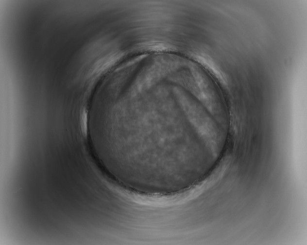 X0000094190014200711091209