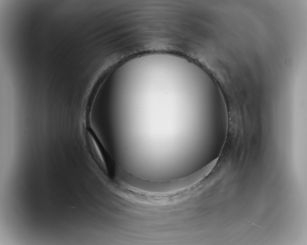 X0000094190015200711091209