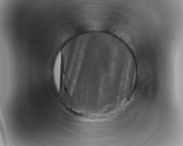 X0000094190017200711091209