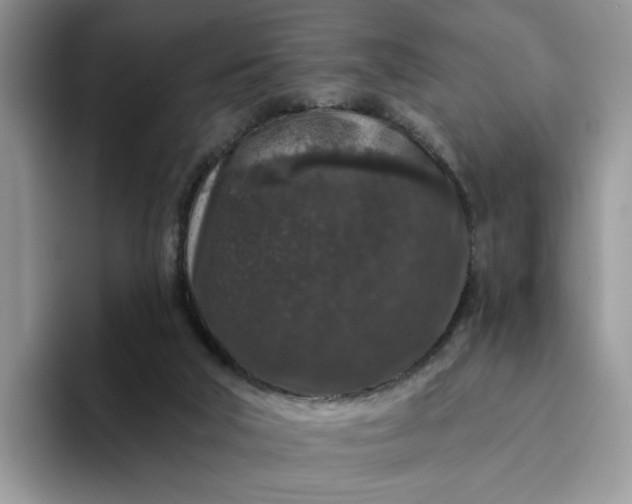 X0000094190018200711091209