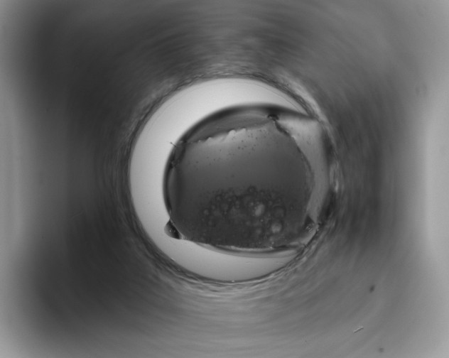 X0000094190019200711091209