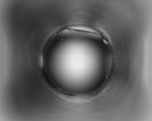 X0000094190020200711091209