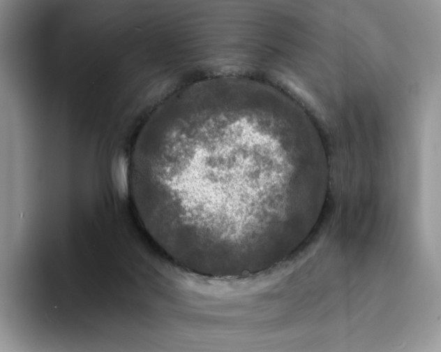 X0000094190022200711091209