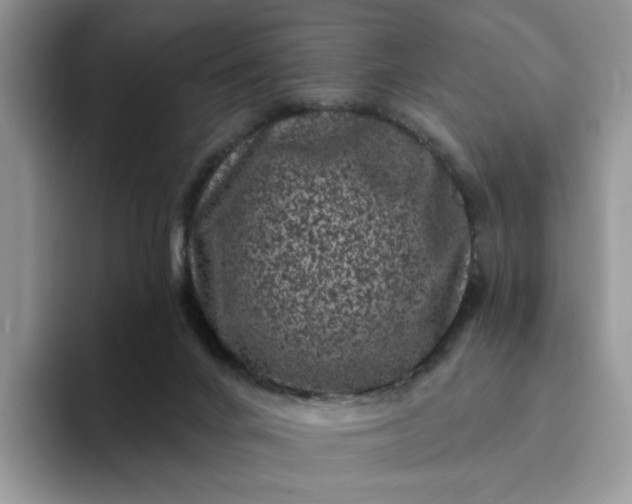 X0000094190024200711091209