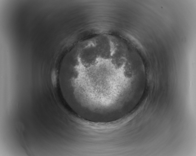 X0000094190026200711091209