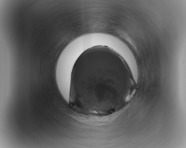 X0000094190027200711091209