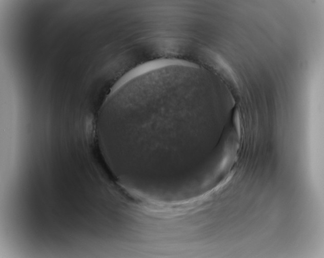 X0000094190029200711091209