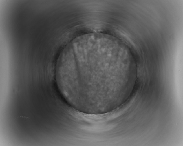 X0000094190030200711091209