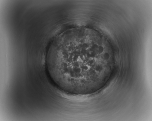 X0000094190032200711091209